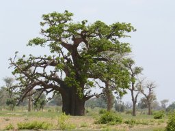 284231_10150261348419901_7723460_n